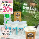 20日はポイント20倍！ヨーグルト バラエティー 11点 プレゼント ヨーグルト ギフト 2000円 3000円 食品 お取り寄せ 詰…