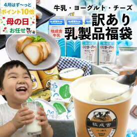 4月はず〜っとポイント10倍！ポイント10倍！ 訳あり 乳製品福袋 2026 食品ロス 福袋 食品 国産チーズ 在庫処分 訳アリ 牛乳 ヨーグルト 乳製品 詰め合わせ チーズ 牧成舎 スイーツ 送料無料 ワケアリ 父の日 ギフト 母の日 ワンダフルデー