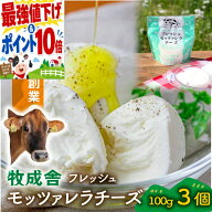 【最強20％OFF】3,380円→2,704円！フレッシュモッツァレラチーズ3個 モッツァレラ チーズ おつまみ 甘く…