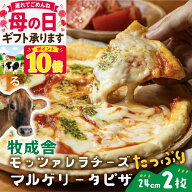 ポイント10倍！母の日ギフトお任せモッツァレラたっぷりマルゲリータピザ2枚 プレゼント pizza 冷凍食品 …