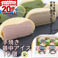 今だけP20倍ガッツリ！猫ちゃんラッピング！猫ちゃん・最中アイス アイスクリーム もなか お祝い ギフト …