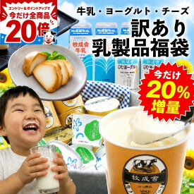 今だけP20倍ガッツリ！【今だけ20％増量】訳あり 乳製品福袋 2026 食品ロス 福袋 食品 国産チーズ 在庫処分 訳アリ 牛乳 ヨーグルト 乳製品 詰め合わせ チーズ 牧成舎 スイーツ 送料無料 ワケアリ 父の日 ギフト 母の日 DEAL 父の日に乳（ちち）製品を