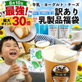 10日限定ポイント30％還元＆クーポン！訳あり 乳製品福袋 2026 食品ロス 福袋 食品 国産チーズ 在庫処分 訳アリ 牛乳 ヨーグルト 乳製品 詰め合わせ チーズ 牧成舎 スイーツ 送料無料 ワケアリ DEAL ギフトお中元 中元 御中元
