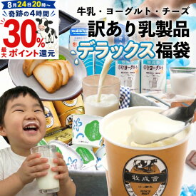 24日20時〜最大ポイント30％還元！乳製品デラックス袋 もったいない 訳アリ ご褒美 福袋 食品 2026 在庫処分 スイーツ おつまみ お取り寄せ 牛乳 ヨーグルト 食品ロス 詰め合わせ チーズ 牧成舎 プレゼント 父の日 ギフト お中元 中元 御中元 DEAL