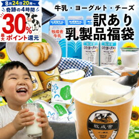 24日20時〜最大ポイント30%還元!訳あり 乳製品福袋 2026 食品ロス 福袋 食品 国産チーズ 在庫処分 訳アリ 牛乳 ヨーグルト 乳製品 詰め合わせ チーズ 牧成舎 スイーツ 送料無料 ワケアリ DEAL ギフトお中元 中元 御中元