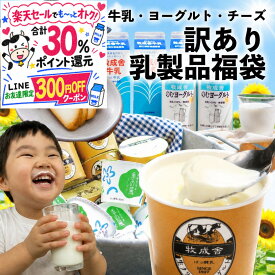最大30％ポイント還元＆300円OFFクーポンでお得！【予告9月5日20時〜クーポンあり！】訳あり 乳製品福袋 2026 食品ロス 福袋 食品 国産チーズ 在庫処分 訳アリ 牛乳 ヨーグルト 乳製品 詰め合わせ チーズ 牧成舎 スイーツ 送料無料 ワケアリ DEAL ギフト 敬老の日