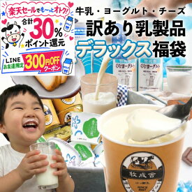 最大30%ポイント還元&300円OFFクーポンでお得!乳製品デラックス袋 もったいない 訳アリ ご褒美 福袋 食品 2026 在庫処分 スイーツ おつまみ お取り寄せ 牛乳 ヨーグルト 食品ロス 詰め合わせ チーズ 牧成舎 プレゼント ギフト DEAL 敬老の日
