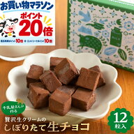 最強ポイント20倍!贅沢生クリーム搾りたて 生チョコ 12粒 送料無料商品と一緒に！ チョコレート 洋菓子 …
