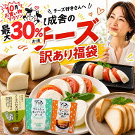 ＼4日20時〜奇跡の4時間最大40％お得／訳あり チーズ 福袋 2026 食品ロス 福袋 食品 国産 在庫処分 訳ア…