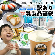 ポイント10倍！ 訳あり 乳製品福袋 2026 食品ロス 福袋 食品 国産チーズ 在庫処分 訳アリ 牛乳 ヨーグル…
