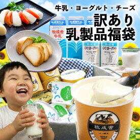 ＼最大P10倍＆クーポン／【今だけ20％増量】 訳あり 乳製品福袋 2026 食品ロス 福袋 食品 国産チーズ 在庫処分 訳アリ 牛乳 ヨーグルト 乳製品 詰め合わせ チーズ 牧成舎 スイーツ 送料無料 ワケアリ 母の日 ギフト　ホワイトデー