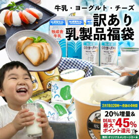 【19日20時～奇跡の4時間！最大P45％還元＆20％増量】 訳あり 乳製品福袋 2026 食品ロス 福袋 食品 国産チーズ 在庫処分 訳アリ 牛乳 ヨーグルト 乳製品 詰め合わせ チーズ 牧成舎 スイーツ 送料無料 ワケアリ ホワイトデー ギフト
