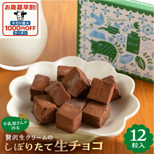 お歳暮早割最大1000円OFFクーポン!【 贅沢生クリーム搾りたて 生チョコ 12粒】生チョコ ギフト おいしい 生クリーム 高級 チョコレート 洋菓子 プレゼント プチギフト 2000円 自分用 お返し ち