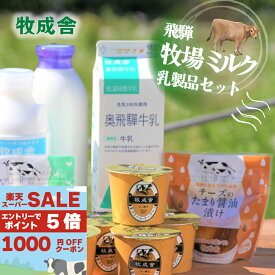 楽天セール10％OFF＆1000円OFFクーポン【飛騨の乳製品バラエティーセット】 父の日 プレゼント 取り寄せ ギフト 乳製品 詰め合わせ チーズ 牛乳 ヨーグルト 内祝い 誕生日 おいしい 岐阜県 福袋