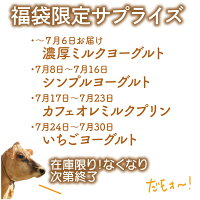 予告6月22日20時～20%増量【訳あり乳製品福袋】乳（ちち）の日に乾杯！食品ロス2025福袋食品訳あり在庫処分訳アリ牛乳ヨーグルト乳製品詰め合わせチーズ牧成舎訳あり福袋ご挨拶2025スイーツ送料無料ワケアリお中元中元中元ギフト生活応援