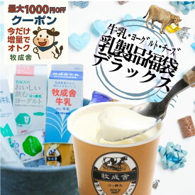 今だけ10％増量＆最大1000円OFFクーポン！【乳製品5000円福袋】もったいない 訳アリ ご褒美 福袋 食品 2026 在庫処分 スイーツ おつまみ お取り寄せ 牛乳 ヨーグルト 食品ロス 詰め合わせ チーズ 牧成舎 プレゼント 御歳暮 ギフト