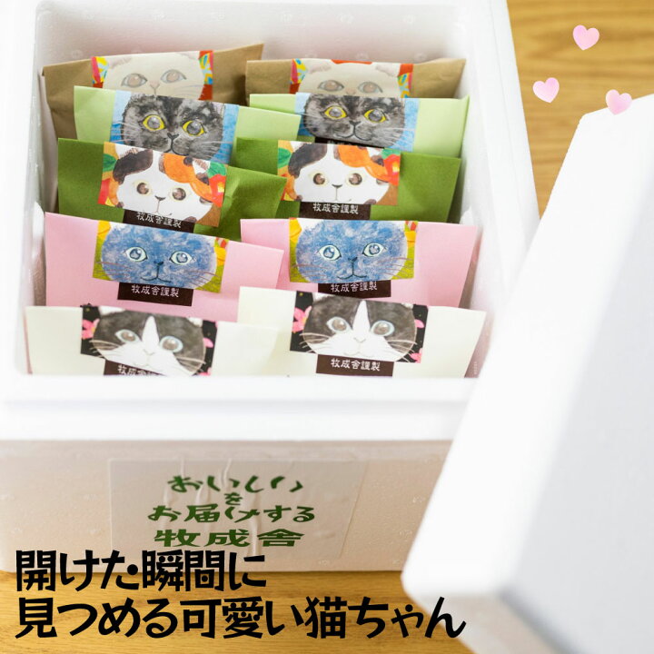 楽天市場】合言葉デープチ生チョコGET＆食フェスクーポン！【猫ちゃん 