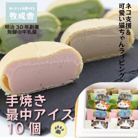 ＼最大P10倍＆クーポン／猫ちゃんラッピング！猫ちゃん・最中アイス アイスクリーム もなか お祝い ギフト プレゼント 内祝い 高級アイス お誕生日 牧成舎 猫 ねこ お菓子プレゼント 食品 　ホワイトデー