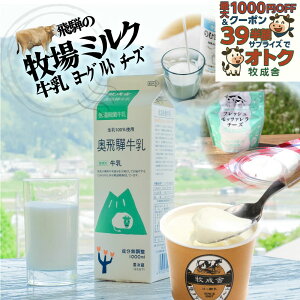 ő1000~OFFN[|Iy iyZbgzq Mtg [Og `[Y i ቷEۋ Y bc@ l lߍ킹  a Ɨp N C Ɖu q v[