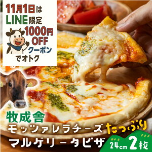 1111000~OFFN[|y bc@Ղ}Q[^sU2zv[g pizza  ⓀHi hV̓ p[eB[ ⓀsU `[Y Mtg j  Ԃ  