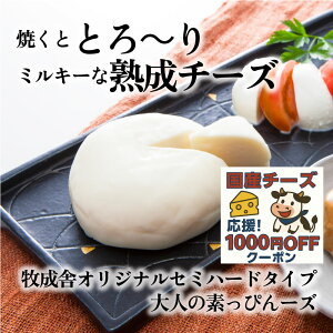 Y`[YI15121012~ɁIy l̑f҂`[Yziƈꏏɍw߁Iqɂ̃IWin`[Y ʃv[g Hi Y`[Y Z~n[h `[Y Ε Mt