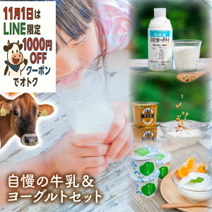 _tP3{1000~OFFN[|Iy [Ogzv[g Ԃ [Og   Zbg j  Ԃ a q q Yn ÂȂv[g 