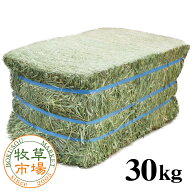 【発売記念特別価格】牧草市場 USチモシー1番刈り（特選プレミアム）牧草 ダブルプレス 約30kg 【ベール…