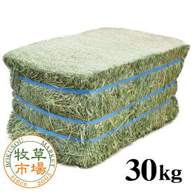 【発売記念特別価格】牧草市場 USチモシー1番刈り（特選プレミアム）牧草 ダブルプレス 約30kg 【ベール販売 業務用】【sg】