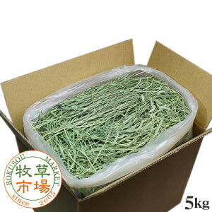 ߘa7NxYV聟qsX[p[v~A`V[1Ԋq 5kgܓiEbgȂǂ̖q@Ɩp@VOvXj