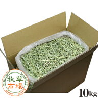 牧草市場 USチモシー1番刈り（特選プレミアム）牧草 ダブルプレス 10kg袋入 業務用【ymt】