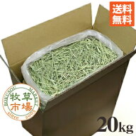 牧草市場 USチモシー1番刈り（特選プレミアム）牧草 ダブルプレス 20kg袋入 業務用【sg】