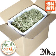 牧草市場 USチモシー2番刈り（特選プレミアム）牧草 ダブルプレス 20kg袋入 業務用【sg】
