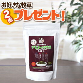 牧草市場 チモシーのチカラ モルモット 700g