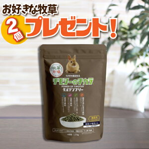 【1個ご購入でお好きな牧草1kg(500g×2袋)プレゼント!】牧草市場 チモシーのチカラ グルテンフリー 1kg