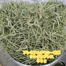 楽天市場 馬 エサの通販