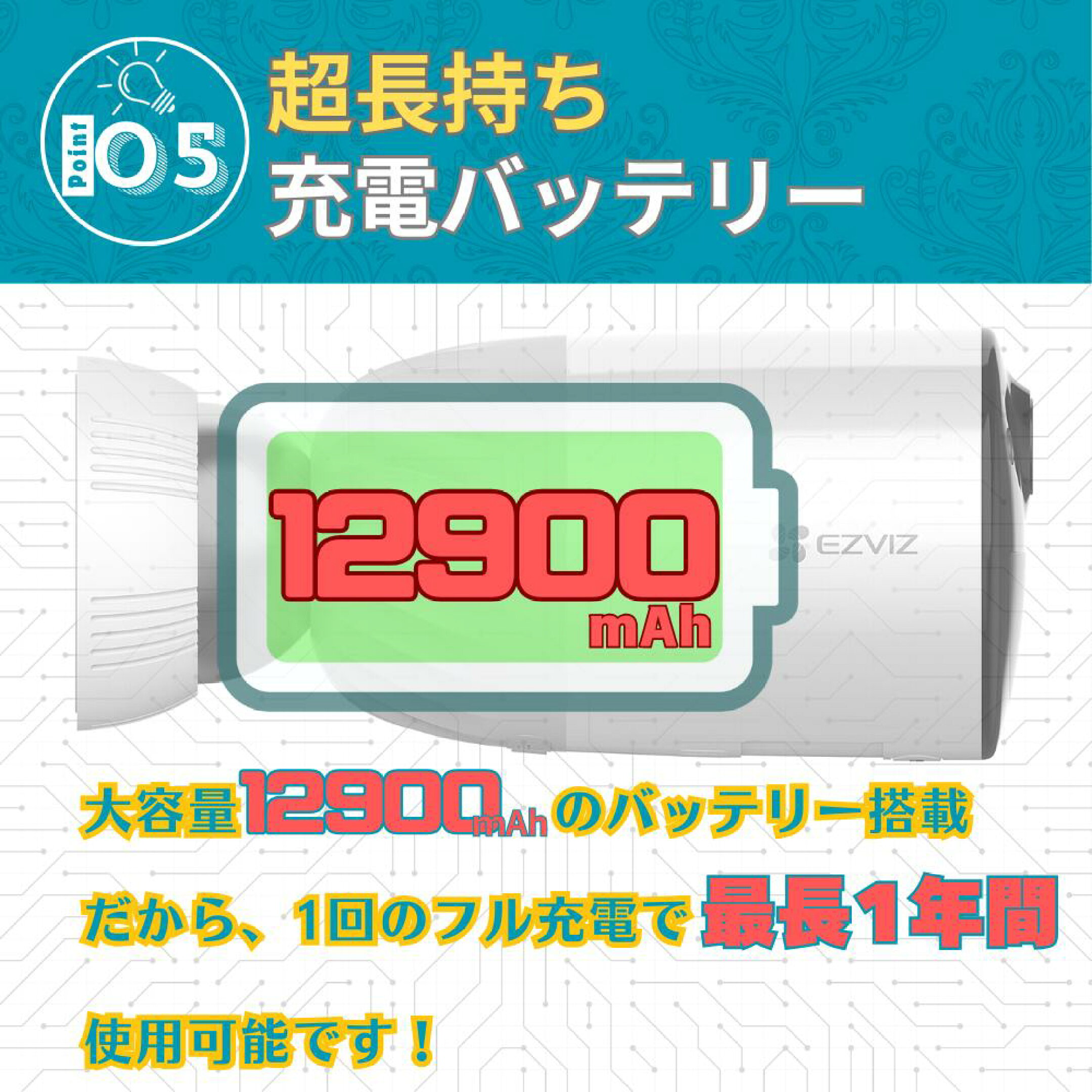 CS-BC1-B2