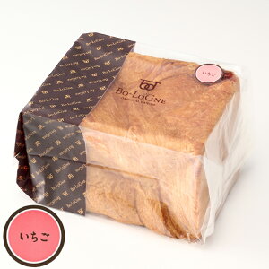 �{���[�j���f�j�b�V���H�p���@�������@1.5��