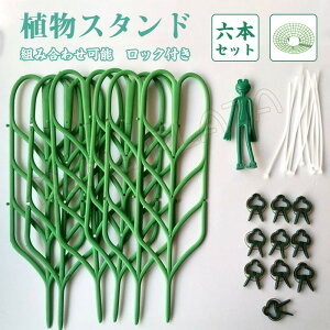 観葉植物 支柱 つるの人気商品 通販 価格比較 価格 Com 観葉植物 支柱 つるの人気商品 通販 価格比較 価格 Com