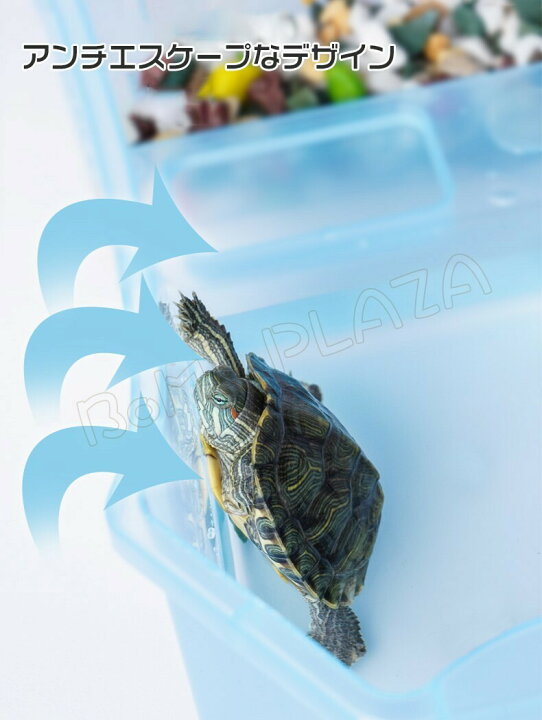 楽天市場 L 50 35 17cm 亀の水槽 蓋付き 両生類 カメの楽園 飼育ケース ボックス 日向ぼっこ台 観察 排水孔 爬虫類 カメ生息地 大空間 亀の楽園 観察 排水孔 可愛い 階段 エサ皿 Boma Plaza