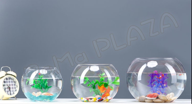 楽天市場】30cm 金魚鉢 ガラス製 透明 丸 鉢 和風 可愛い ミニ水槽 