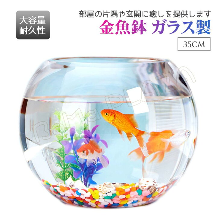 楽天市場 35cm 金魚鉢 ガラス製 透明 丸 鉢 和風 可愛い ミニ水槽 おしゃれ 多機能 観葉植物を入れて 万能ガラス容器 大容量 金魚 ベタ メダカ アカヒレなど 砂あび 砂場 砂あそび Boma Plaza