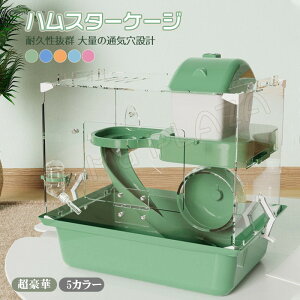 nX^[P[W nX^[nEX Zbg  P[W 炩 L ʋCQ gȒP  ^ 񂵎 GTM {E  ߋV[\ ^  nlY~ 傫 