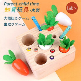 知育玩具 木のおもちゃ ひっつきむし 引っ付き虫 ひっつき虫 出産祝い 1歳 2歳 3歳 ハーフバースデー　虫釣り お誕生日 入園祝い 誕生日 プレゼント