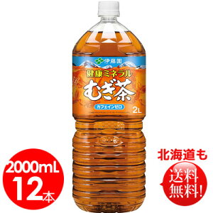 ɓ@N~lނ PET 2L×12{@@