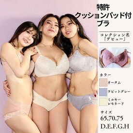 復活『デビュー』特許クッションパッド付 奇跡の痛くないワイヤーブラ！ D65 E65 F65 G65 H65 D70 E70 F70 G70 H70 D75 E75 F75 G75 H75 Dカップ Eカップ Fカップ Gカップ Hカップ