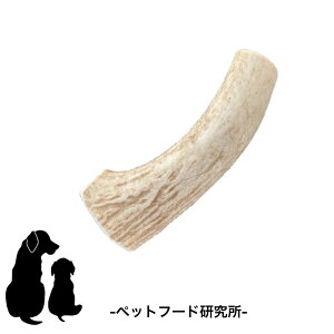 ybgt[h ̊p yY Yz  ނ Y  Y  p K f^PA ɑ10cm ɑ10cm