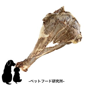 ybgt[h y Y Y z ^ ^ ^ ̂񂱂 b Oet[  ̂ JVEێ J Ɗ{b CΏ L\h