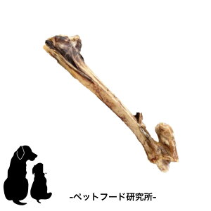 ybgt[h y Y Y z ^ ^ ^ bO{[  Oet[  ̂ p