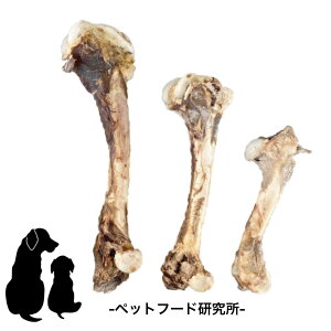 ybgt[h y Y Y z ^ ^ ^ bO{[  Oet[  ̂ p