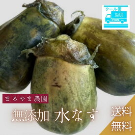 無添加 冷蔵発送 まるやま農園 泉州水ナス ぬか漬け 水なす 水茄子 産地直送 贈答品 ギフト 御中元